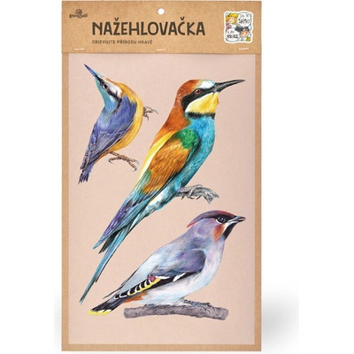 Lesní svět Nažehlovačka L 002 - Ptáci