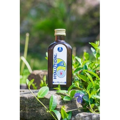 SG VET, s. r. o. Hyalutidin DC ACTIV pro psy a kočky 2x125ml