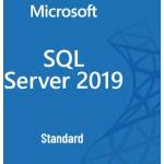 Microsoft SQL Server Standard 2019 ENG 10CAL (228-11548)