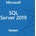 Microsoft SQL Server Standard 2019 ENG 10CAL (228-11548)