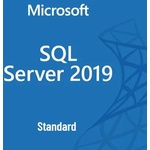 Microsoft SQL Server Standard 2019 ENG 10CAL (228-11548)