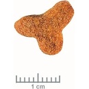 Royal Canin Veterinary Diet Dog Fibre Response 14 kg