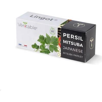 Véritable Lingot Japonská petržel Mitsuba