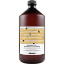 Šampony Davines NATURALTECH Nourishing vyživující šampon 1000 ml