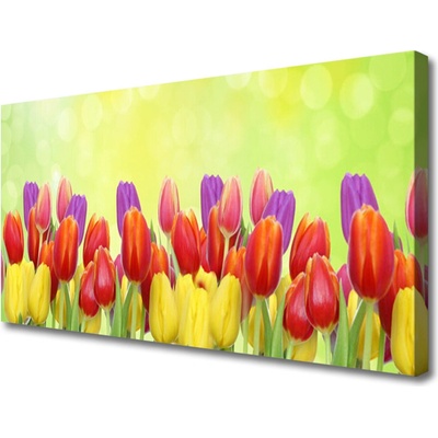 Obraz Canvas Tulipány kvety rastlina 100x50 cm