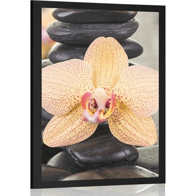 Plagát žltá orchidea a Zen kamene