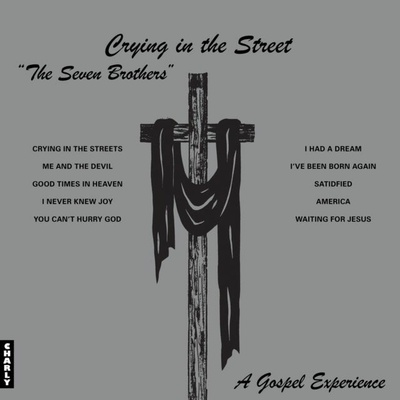 The Seven Brothers - CRYING IN THE STREET Vinyl