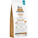 Brit Care Grain-free Senior & Light Salmon 12 kg