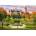 Trefl - Puzzle Premium Plus Photo Odyssey: Schwerin Castle, Germany - 1 000 piese