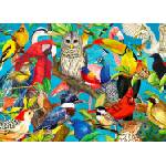 Enjoy - Puzzle Feathered Frenzy - 1 000 piese