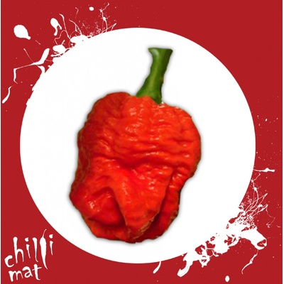 CHILLIMAT Chilli sazenice Trinidad Scorpion Moruga Red 1ks