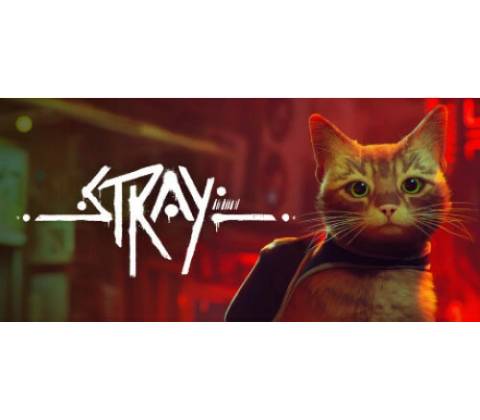 Stray
