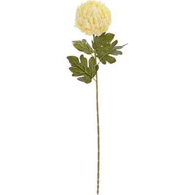 KS CHRYZANTÉMA KRÉMOVÁ 62CM