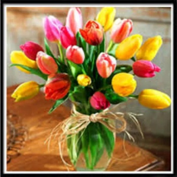 Image 1 of Лалета 25/25 см