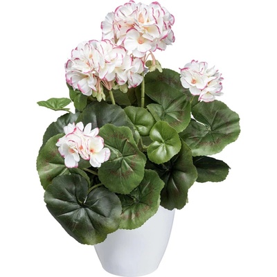 Gasper Gasper Gerániový ker x7, približne 34 cm, bielo-ružový