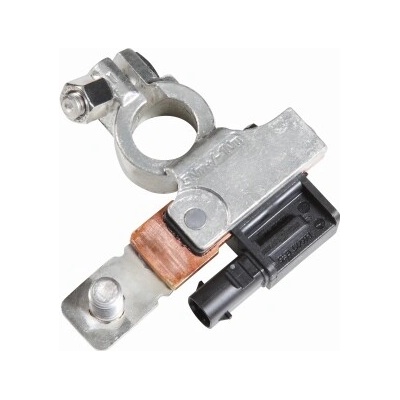 Senzor, bateriový management HELLA 6PK 010 842-001 (6PK010842001)