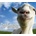 Goat Simulator PAYDAY