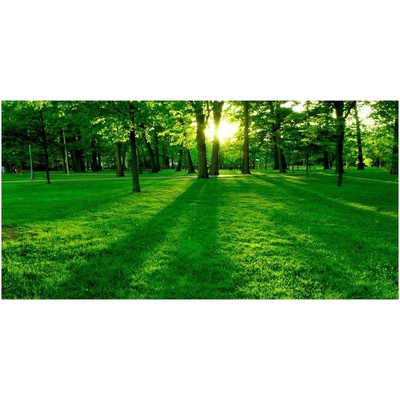 Foto obraz sklenený horizontálny Tráva v parku 100x50 cm