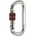 Camp Compact Oval Lock