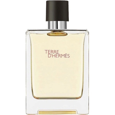 Hermès Terre D'Hermes EDT 100 ML Male, Unisex