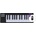 Arturia MicroLab mk3 SET Black Миди клавиатура (MIKROLAB-MK3-BK-SET)