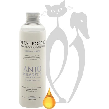 Anju Beauté Vital Force regenerační s keratinem 2500 ml