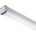 RENDL R13866