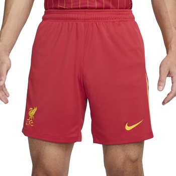 Nike Шорти Nike LFC M NK DF SHORT STAD HM 2024/25 fn8863-687 Размер XXL