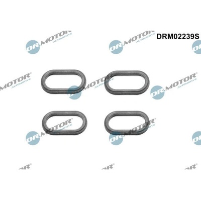 Tesneni, drzak trysky Dr.Motor Automotive DRM02239S