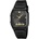 Casio AW-48HE-8A