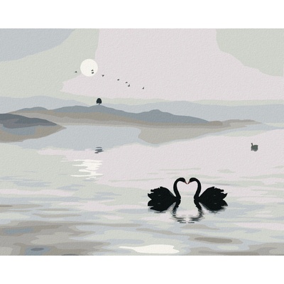 Zuty Malování podle čísel LABUTÍ JEZERO
