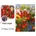 Collection D'Art Collection D`art - Димантен гоблен - Килим от цветя (DE7109)