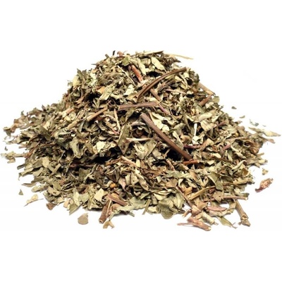 Bylík Chanca Piedra nať 50 g