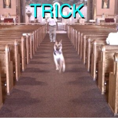 Trick - Alex G LP