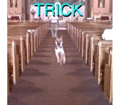 Trick - Alex G LP