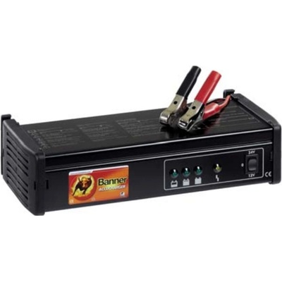 Banner Accucharger 12-20