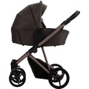Bebetto Pelpasso 2 in 1