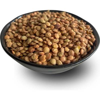 Lyopotraviny BIO Čočka hnědá neloupaná 1000 g