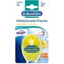 Dr.Beckmann Pohlcovač pachov do chladničky Citrus 40 g