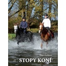 Stopy koní