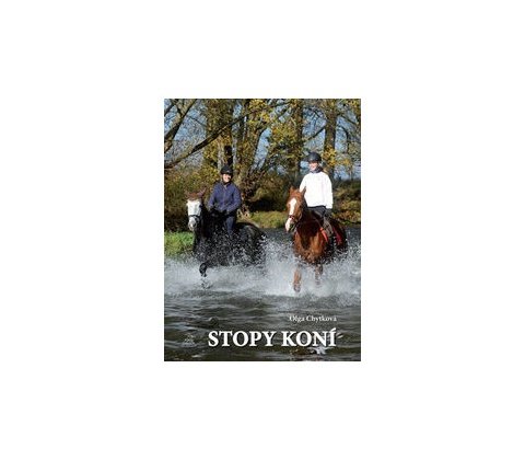 Stopy koní