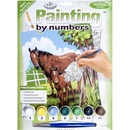 Royal & Langnickel Malování podle čísel Koně