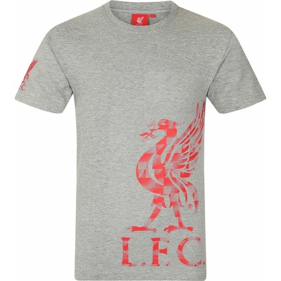 Liverpool FC dětské tričko Liverpool FC šedá