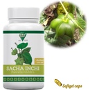 Oro Verde Sacha Inchi kapsle 500 mg x 100 softgelové