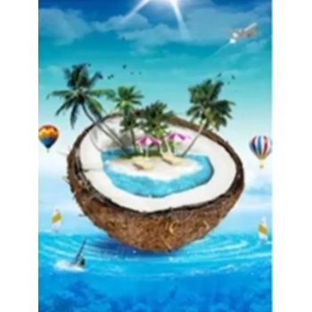 Image 1 of Кокосовият остров 15/20 см