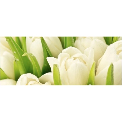 Obraz bílé tulipány plátno 1 100x40