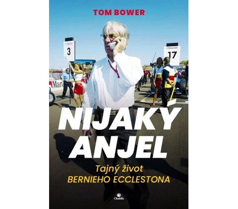 Nijaký anjel - Tom Bower