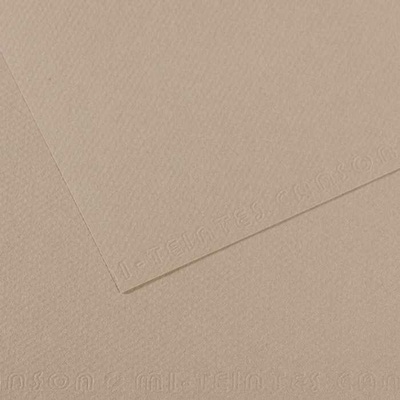Canson Tónovaný papier Mi-Teintes 50 x 65 cm 160 g/m²Flanelová sivá 122
