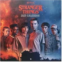 Stranger Things 30 x 30 cm 2025