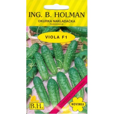 Okurka nakladačka - hruboostná - Viola F1 - Holman
